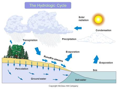 Percolation Condensation Solar radiation Evaporation Sea Salt water Ground water Precipitation Transpiration Runoff in streams Copyright: McGraw-Hill.