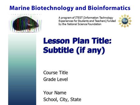 A program of ITEST (Information Technology Experiences for Students and Teachers) funded by the National Science Foundation Lesson Plan Title: Subtitle.