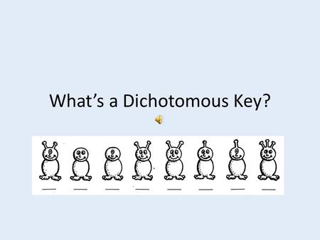 What’s a Dichotomous Key?. It’s a tool that scientists use to help them find the names of insects, trees, and many other things. Dichotomous Key? What’s.