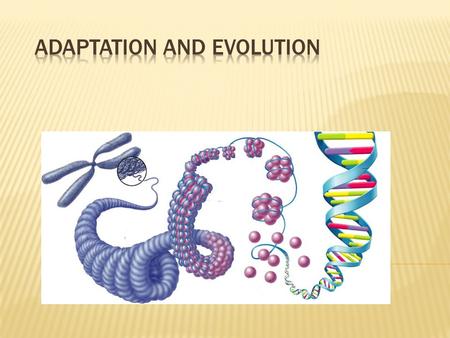  Evolution is the change in the inherited traits of a population of organisms through successive generations  Two factors at work:  Processes that.