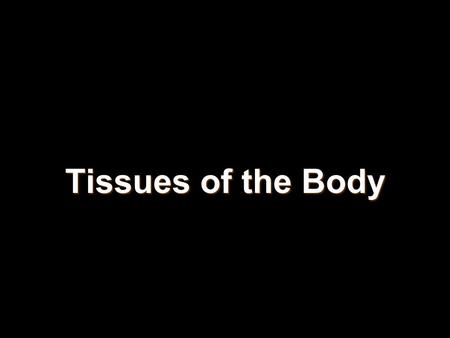Tissues of the Body. Four Basic Kinds of Tissues Epithelial Tissue Epithelial Tissue Connective Tissue Connective Tissue Muscle Tissue Muscle Tissue Nervous.