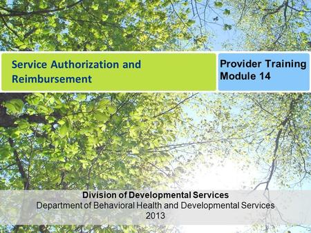 Service Authorization and Reimbursement Division of Developmental Services Department of Behavioral Health and Developmental Services 2013 Provider Training.