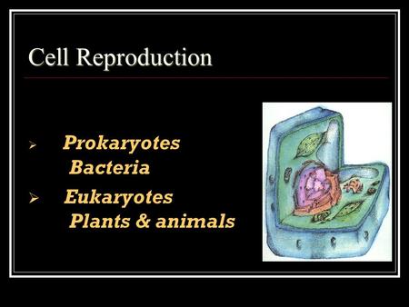 Cell Reproduction  Prokaryotes Bacteria  Eukaryotes Plants & animals.