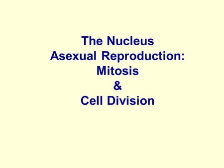 The Nucleus Asexual Reproduction: Mitosis & Cell Division.