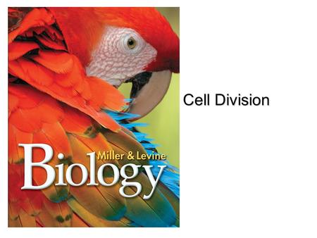 Lesson Overview Lesson Overview The Process of Cell Division Cell Division.