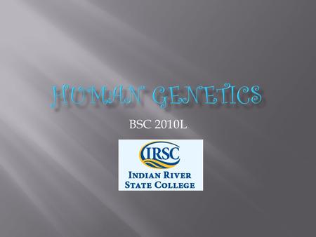BSC 2010L.  Humans  Haploid # of chromosomes: 23  Diploid #: 46  Remember:  Have 23 pairs  1 of each pair came from mom  1 of each pair came from.