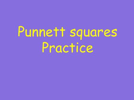 Punnett squares Practice. The tool which uses the combination of alleles to predict the probability of traits showing up in offspring.