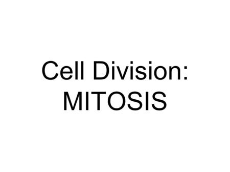 Cell Division: MITOSIS