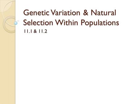 Genetic Variation & Natural Selection Within Populations 11.1 & 11.2.