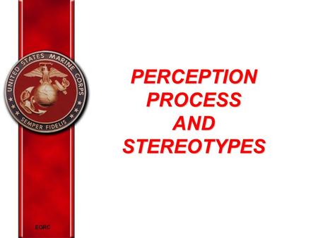 EORC PERCEPTION PROCESS AND STEREOTYPES. EORC Overview Elements of perception Perceptual shortcuts Relationships between stereotype and perception Strategies.