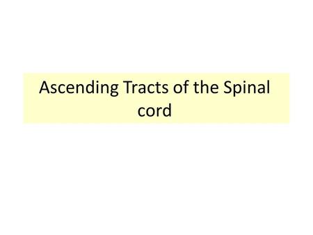 Ascending Tracts of the Spinal cord. Objectives Define the meaning of a tract. Distinguish between the different types of tracts. Locate the position.
