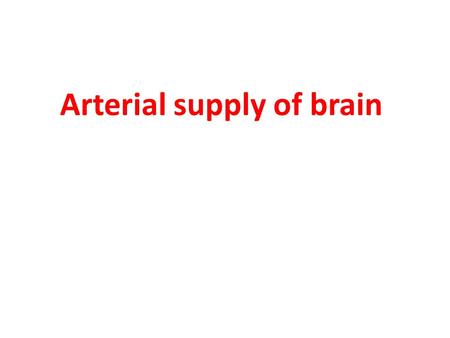 Arterial supply of brain
