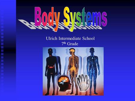 Ulrich Intermediate School 7 th Grade Integumentary System Integumentary System Muscular System Muscular System Skeletal System Skeletal System Nervous.