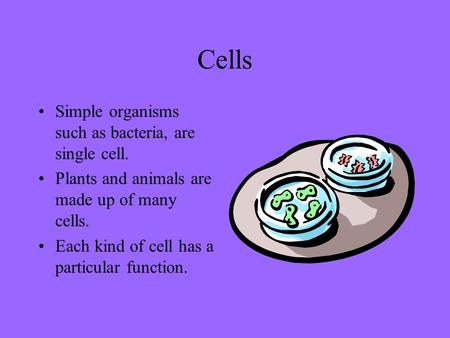 Cells Simple organisms such as bacteria, are single cell. Plants and animals are made up of many cells. Each kind of cell has a particular function.