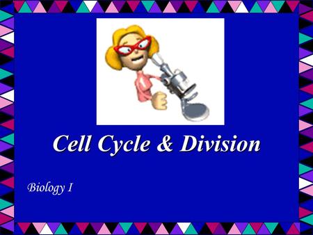 Cell Cycle & Division Biology I. Cell Division Cell Division: All cells are derived from preexisting cells (Cell Theory) Cell division is the process.