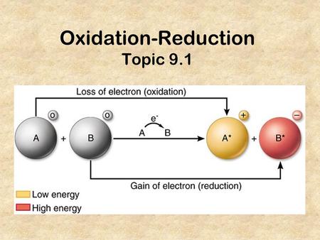 Oxidation-Reduction Topic 9.1. ...etc. 1+2+ 3-3+4+/-2-1-0.
