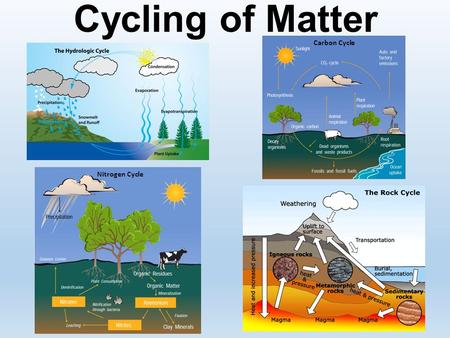 Cycling of Matter Carbon Cycle Nitrogen Cycle.