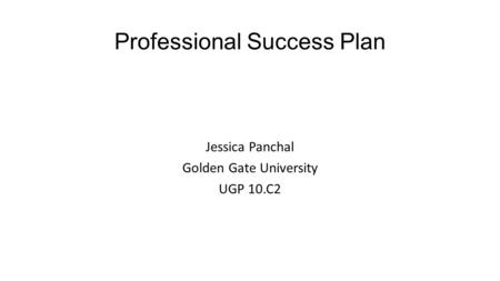 Professional Success Plan