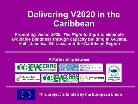 Promoting Vision 2020: The Right to Sight to eliminate avoidable blindness through capacity building in Guyana, Haiti, Jamaica, St. Lucia and the Caribbean.