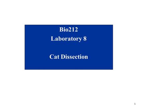1 Bio212 Laboratory 8 Cat Dissection. 2 Lab Schedule for Rest of Semester Cat dissection labs –Dissection 1(today) Preparing the cat Cardiovascular (Lab.