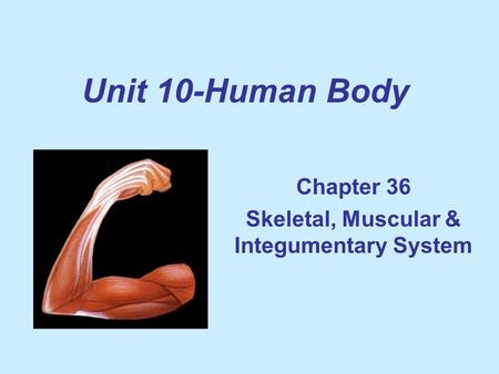 Unit 10-Human Body Chapter 36 Skeletal, Muscular & Integumentary System.