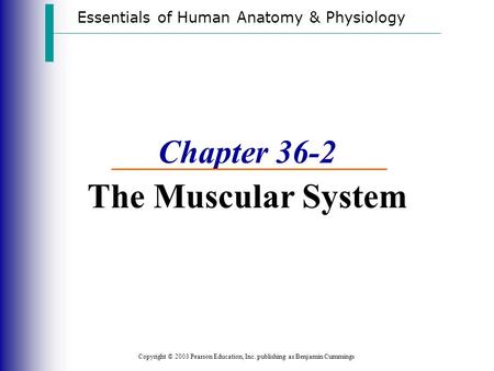Essentials of Human Anatomy & Physiology Copyright © 2003 Pearson Education, Inc. publishing as Benjamin Cummings Chapter 36-2 The Muscular System.