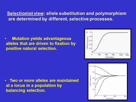 Selectionist view: allele substitution and polymorphism