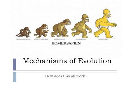 Mechanisms of Evolution How does this all work?.