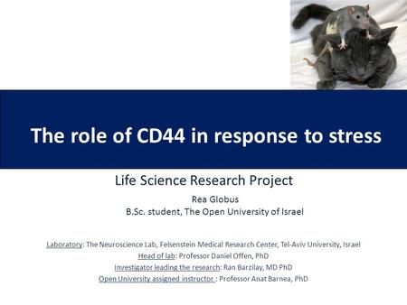 The role of CD44 in response to stress Life Science Research Project Laboratory: The Neuroscience Lab, Felsenstein Medical Research Center, Tel-Aviv University,