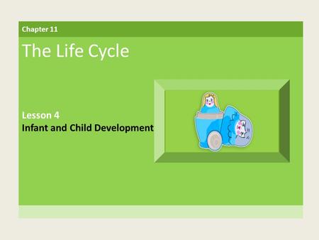 Chapter 11 The Life Cycle Lesson 4 Infant and Child Development.