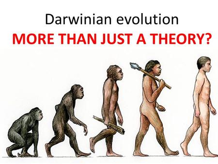Darwinian evolution MORE THAN JUST A THEORY?. DO YOU AGREE?