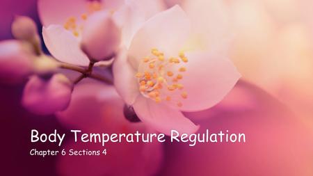 Body Temperature RegulationBody Temperature Regulation Chapter 6 Sections 4Chapter 6 Sections 4.