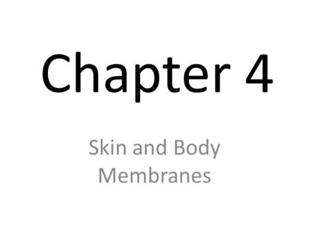 Chapter 4 Skin and Body Membranes. Body Membranes Body Membranes: Covers surfaces, lines body cavities and forms protective (lubricating) sheets around.