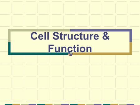 Cell Structure & Function. Objectives Discoveries important to the cell theory State the parts of the cell theory Identify the limiting factor on cell.