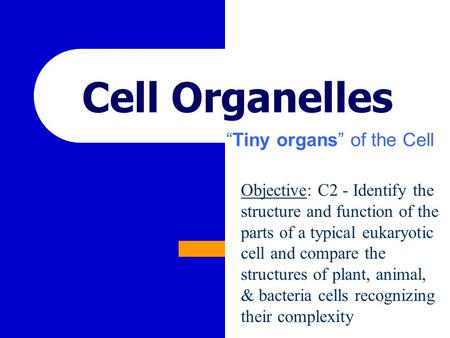 Cell Organelles “Tiny organs” of the Cell Objective: C2 - Identify the structure and function of the parts of a typical eukaryotic cell and compare the.
