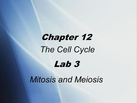 Chapter 12 The Cell Cycle Lab 3 Mitosis and Meiosis.