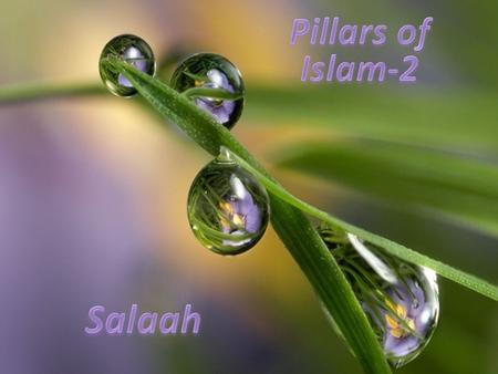 Pillars of Islam-2 Salaah.