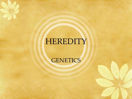 HEREDITY GENETICS. HEREDITY Heredity Is the passing of traits from parents to offspring. Genes on chromosomes control the traits that show up in an organism.