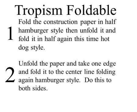 Tropism Foldable Fold the construction paper in half hamburger style then unfold it and fold it in half again this time hot dog style. 1 Unfold the paper.