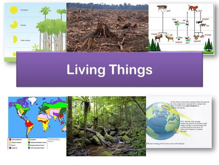 Living Things. Ecosystems An ecosystem is made up of biotic parts (living) and abiotic parts (non living). Ecosystems can vary in size e.g. from a small.