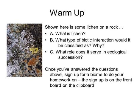 Warm Up Shown here is some lichen on a rock.. A. What is lichen? B. What type of biotic interaction would it be classified as? Why? C. What role does.
