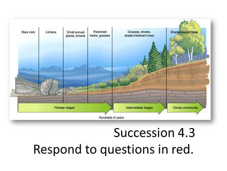 Succession 4.3 Respond to questions in red.. Key Questions 1.How do communities change over time? 2.Do ecosystems return to normal following a disturbance?