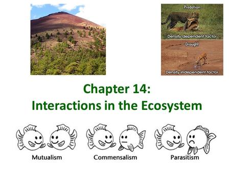Chapter 14: Interactions in the Ecosystem. Niche versus Habit? Habitat Habitat – describes all of the abiotic and biotic factors in the area where an.