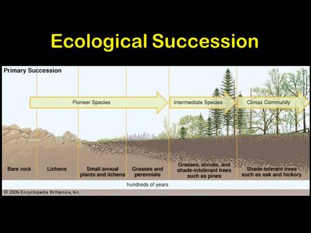 1 Ecological Succession Change over time 1. 2 Pioneer Organisms Pioneer organisms are the first organisms to reoccupy an area which has been disturbed.