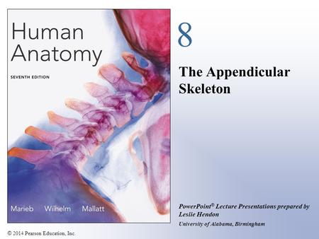 © 2014 Pearson Education, Inc. PowerPoint ® Lecture Presentations prepared by Leslie Hendon University of Alabama, Birmingham 8 The Appendicular Skeleton.
