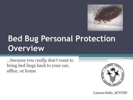 Bed Bug Personal Protection Overview …because you really don’t want to bring bed bugs back to your car, office, or home Lauren Goltz, ACVCSD.
