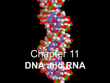 Chapter 11 DNA and RNA. DNA and RNA I. DNA- deoxyribonucleic acid A. History of DNA as Genetic Material “code of life” 1. Griffith and Transformation.
