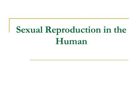 Sexual Reproduction in the Human