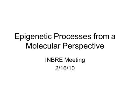 Epigenetic Processes from a Molecular Perspective INBRE Meeting 2/16/10.