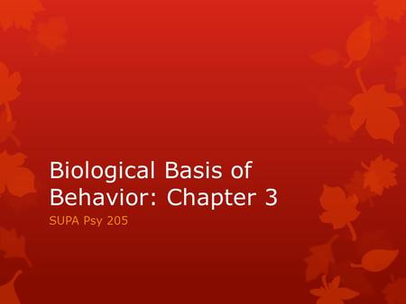 Biological Basis of Behavior: Chapter 3 SUPA Psy 205.